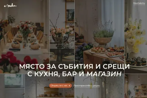 Скрийншот на сайта +това